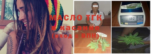 индика Дмитриев