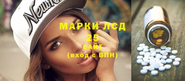 индика Дмитриев