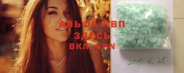 индика Дмитриев
