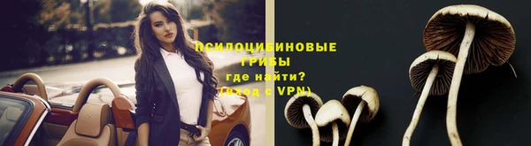 индика Дмитриев