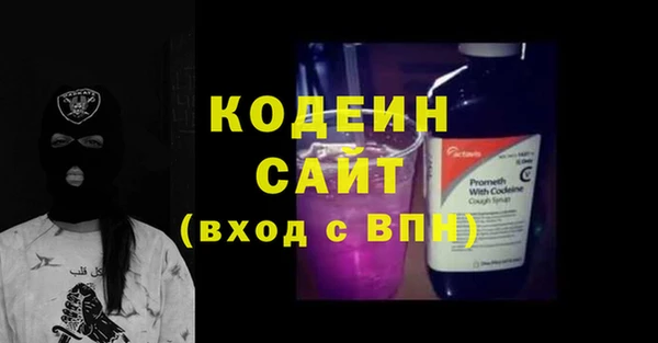 индика Дмитриев