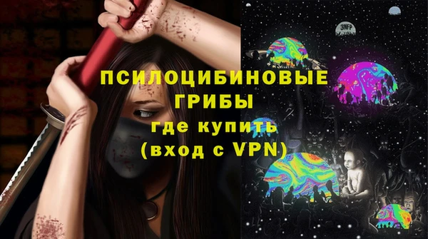 индика Дмитриев