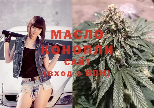 индика Дмитриев