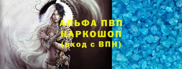 индика Дмитриев
