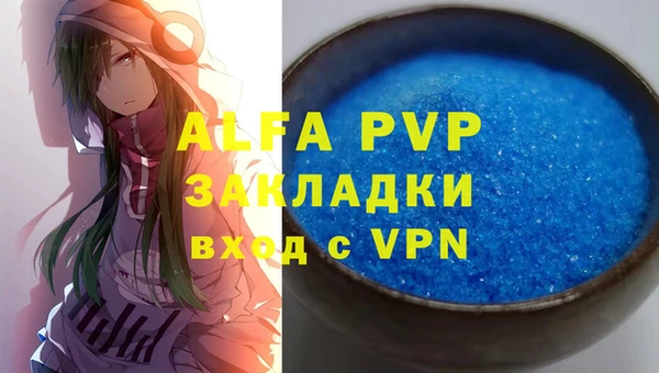 индика Дмитриев