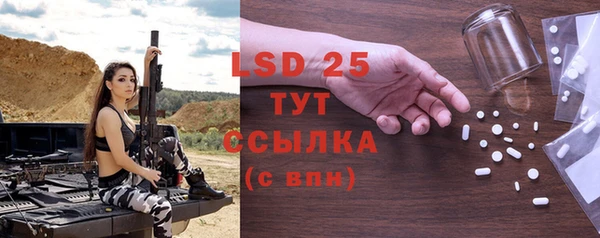 индика Дмитриев