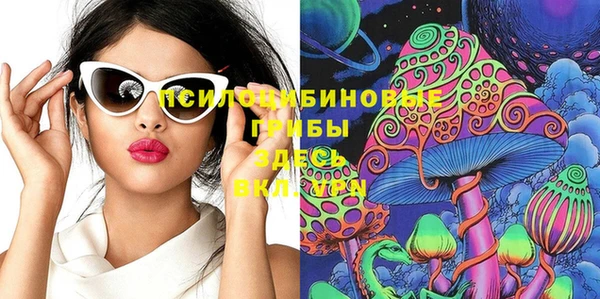 индика Дмитриев