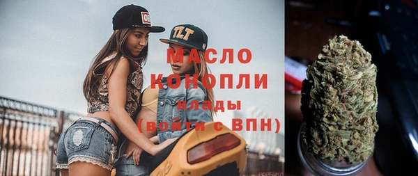 индика Дмитриев