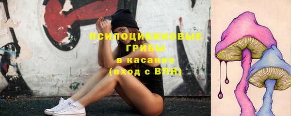 индика Дмитриев