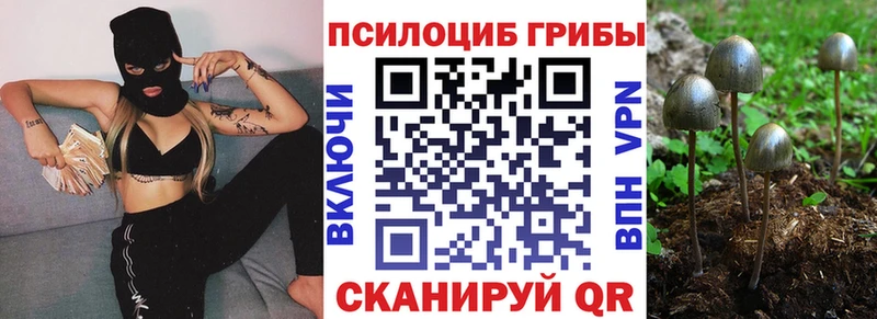 ОМГ ОМГ   Октябрьский  Псилоцибиновые грибы мухоморы 